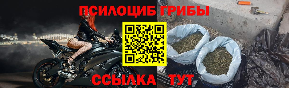 Галлюциногенные грибы Cubensis  Галлюциногенные грибы Cubensis  Еманжелинск  Вход с VPN 