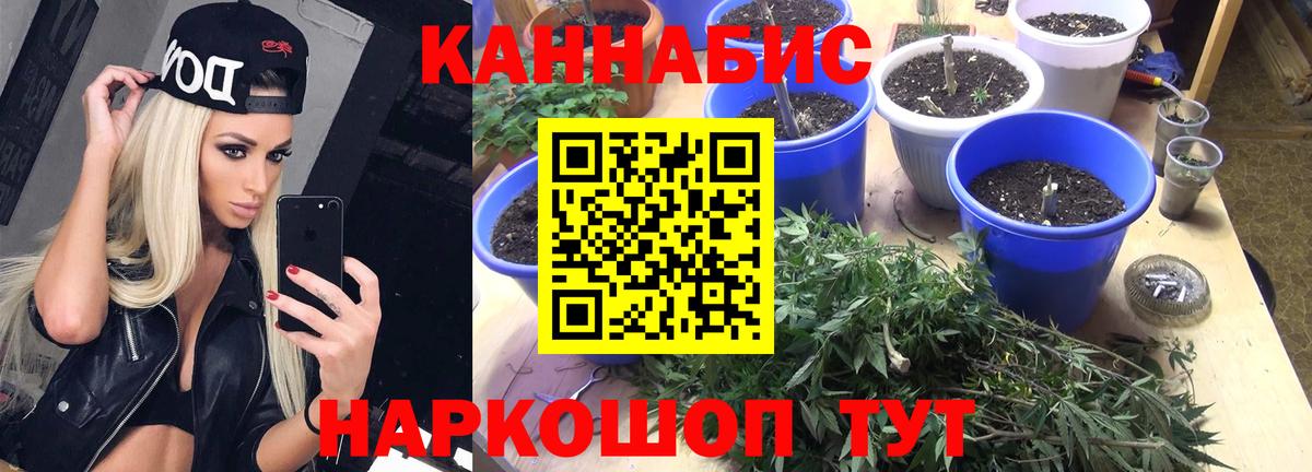 Бошки марихуана SATIVA & INDICA Еманжелинск
